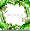 Palm Leaf Clipart Image