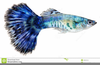Free Blue Fish Clipart Image