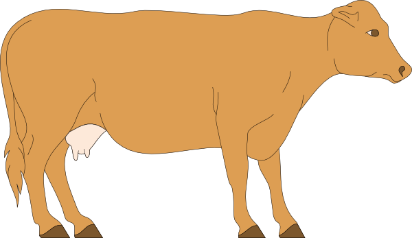 clipart brown cow - photo #1