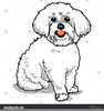 Free French Poodle Clipart Image