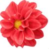 Red Dahlia Clip Art