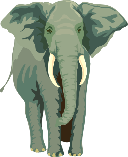 elephant clipart front view - photo #3