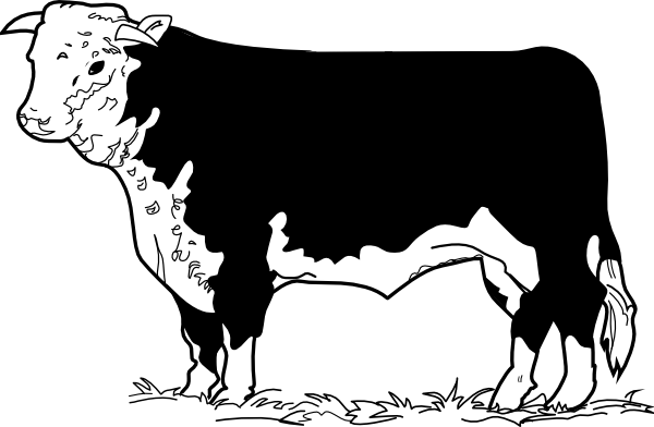cow drawing clip art - photo #48