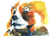 Red Panda Watercolor Image