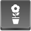 Free Grey Button Icons Pot Flower Image
