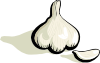 Garlic Clip Art