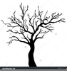 Trees Illustrated Clipart Image