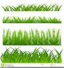 Ornamental Grass Clipart Image