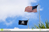 Pirate Flag Clipart Waving Image