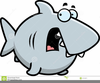 Pictures Cartoon Shark Clipart Image