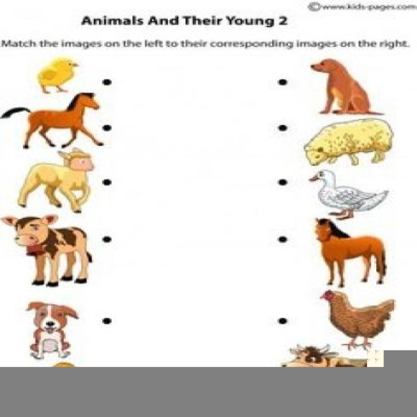 Clipart Images Of Animals And Their Young Ones | Free Images at  -  vector clip art online, royalty free & public domain