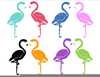 Flamingo Clipart Free Image