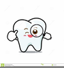 Cartoon Tooth Clipart Image