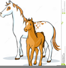 Mare And Foal Clipart Image