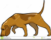 Cartoon Hound Dog Clipart Image