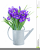 Free Clipart Watering Cans Image