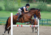 English Jumping Horse Clipart Image