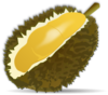 Durian Clip Art