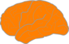 Orange Brain Clip Art