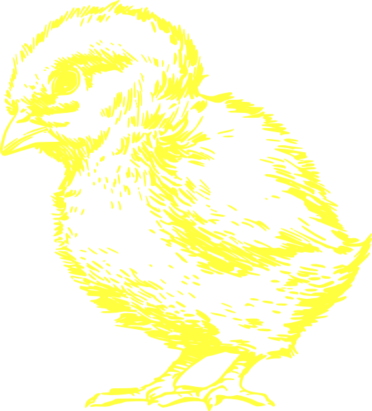 clipart yellow chick - photo #6