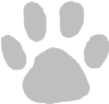 Gray Paw Print Clip Art