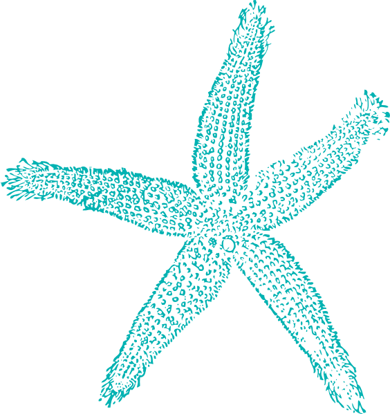 Single Starfish Light Teal clip art