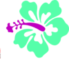 Coral Hibiscus Clip Art