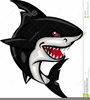 Pictures Cartoon Shark Clipart Image