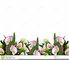 Easter Lily Border Clipart Image