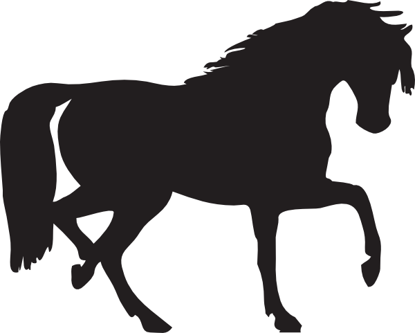 arabian horse wallpaper. wallpaper HORSES: Arabian