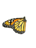 Butterfly Image