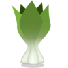 Bok Choy Icon Image