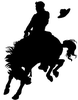 Saddle Bronc Clipart Image