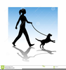 Lady Walking Dog Clipart Image