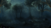 Dark Forest By Calthyechild D Dixhs Image