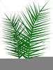 Free Clipart Palm Fronds Image