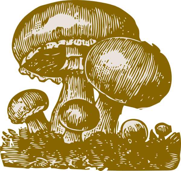 Mushrooms Clip Art At Clker Com Vector Clip Art Online Royalty Free Public Domain