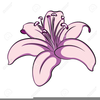 Clipart Lillies Image