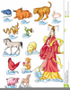 Chinese Zodiac Signs Clipart Image