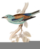 Clipart Pictures Of Birds Image