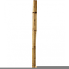 Bamboo Pole Clipart Image