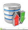 Database Storage Clipart Image