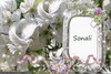 Sonali Name Logo Image