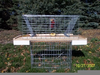 Muskrat Traps Colony Image