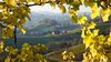 Free Tuscan Vineyard Clipart Image