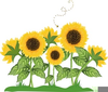 Clipart Free Sunflower Image