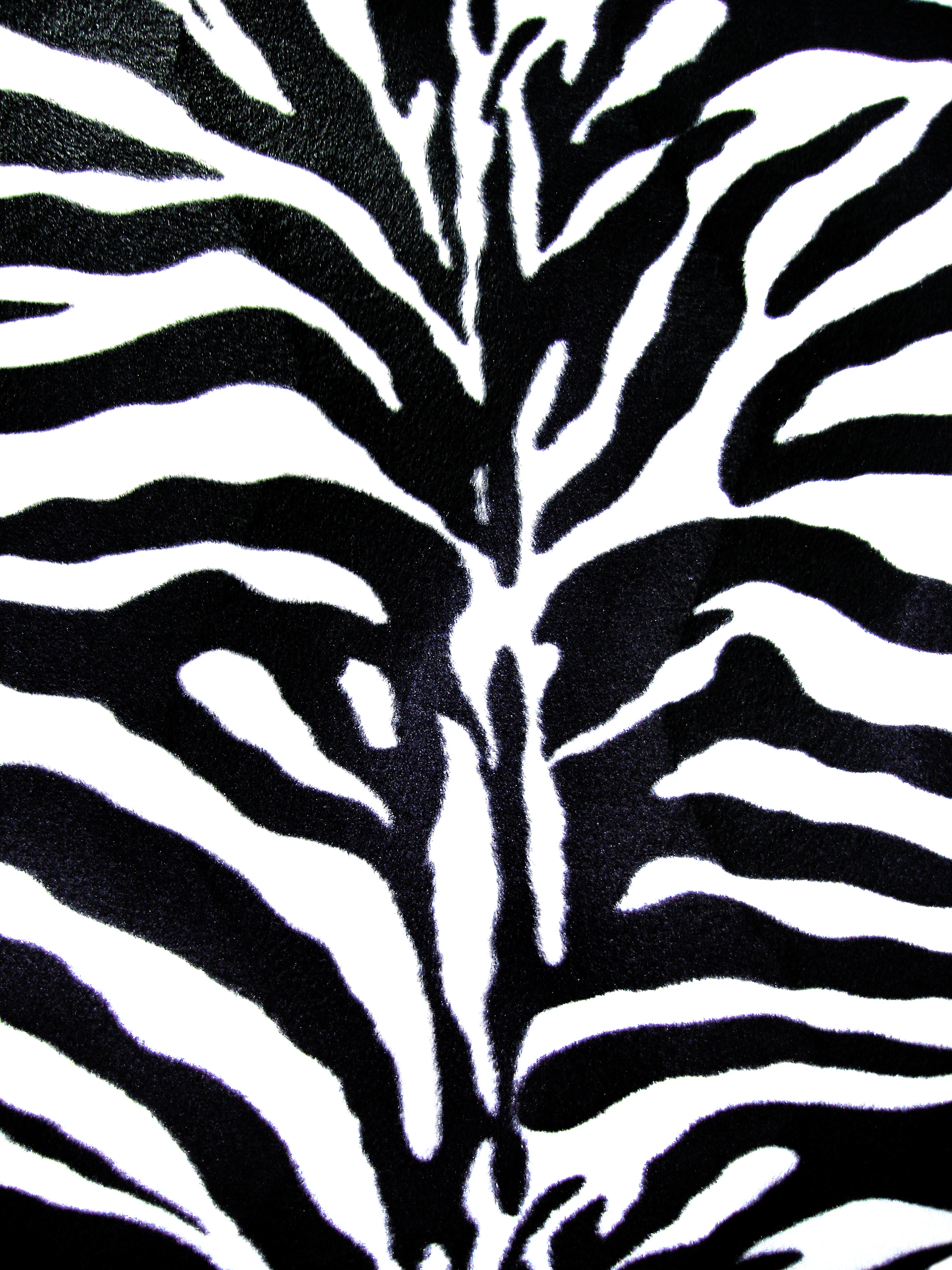 zebra stripes clipart - photo #21