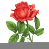 Free Clipart Of Red Roses Image