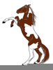 Animated Horse Running Clipart Image