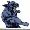 Panther Sport Clipart Image